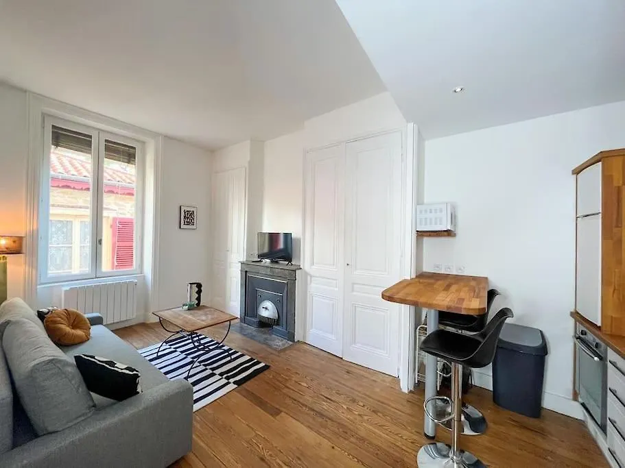 Apartment Suite Havane Lyon